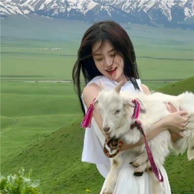 双世美姬高清剧集封面